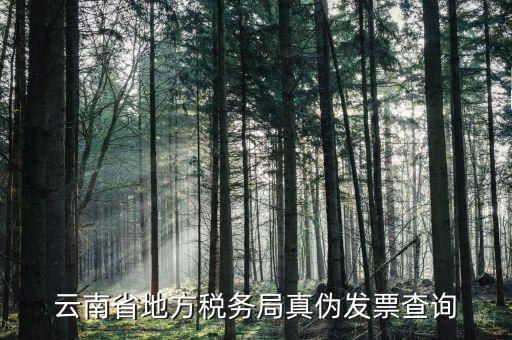 如何查詢云南國稅發(fā)票真?zhèn)尾樵?，云南省地方稅?wù)局真?zhèn)伟l(fā)票查詢