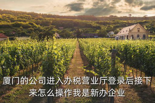 廈門公司如何辦理稅務(wù)，廈門公司如何申請(qǐng)一般納稅人
