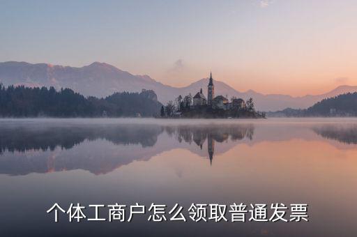 個體工商戶怎么領取普通發(fā)票