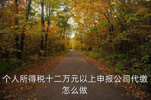 如何做好12萬元申報征收工作，個人所得稅十二萬元以上申報公司代繳怎么做