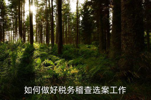 如何做到依法治稅總結，如何做好稅務稽查選案工作