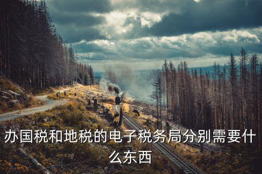 如何開(kāi)通地稅電子稅務(wù)局，辦國(guó)稅和地稅的電子稅務(wù)局分別需要什么東西