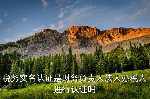四川稅務(wù)如何實名認證，四川省國稅網(wǎng)上認證系統(tǒng)由那家公司提供服務(wù)