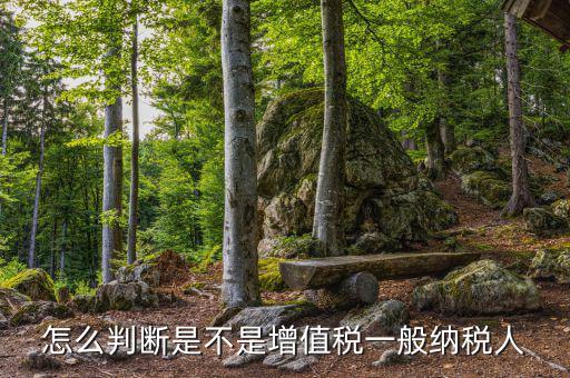 如何查詢增值稅一般納稅人，查看是否為增值稅一般納稅人