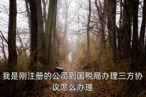 如何激活稅務(wù)三方協(xié)議，稅務(wù)三方協(xié)議怎樣激活