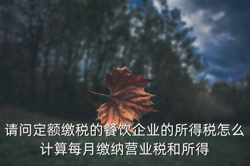 定額納稅企業(yè)如何計算公式，企業(yè)稅金計算公式