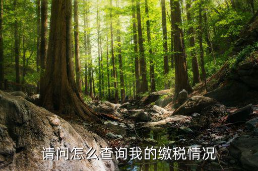 繳納稅款如何查詢(xún)，請(qǐng)問(wèn)怎么查詢(xún)我的繳稅情況