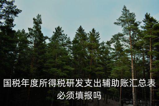研發(fā)支出輔助賬匯總表該如何填寫，什么企業(yè)需要填 研發(fā)支出輔助賬匯總表