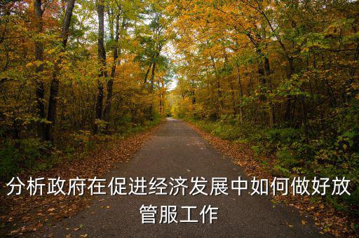 如何做好國稅系統(tǒng)的放管服工作，分析政府在促進經(jīng)濟發(fā)展中如何做好放管服工作
