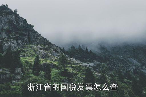 浙江的定額發(fā)票如何查詢，浙江省的國稅發(fā)票怎么查