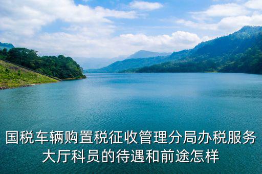 辦稅員工資如何，國(guó)稅車輛購(gòu)置稅征收管理分局辦稅服務(wù)大廳科員的待遇和前途怎樣
