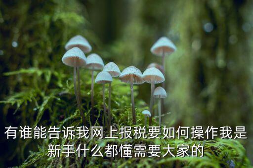 黑龍江如何報稅，黑龍江報稅