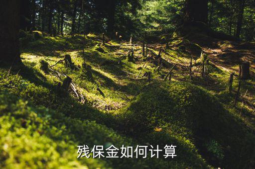 2016年杭州殘疾人保障金如何計算方法，殘疾人保障金計算方式