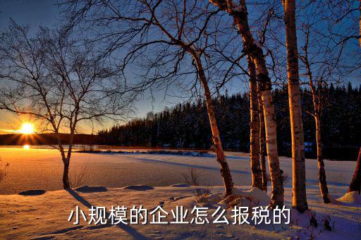 小企業(yè)會計如何報國稅，企業(yè)會計報稅流程是怎么樣的