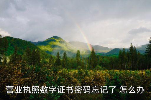 如何找回數(shù)字證書密碼，營業(yè)執(zhí)照數(shù)字證書密碼忘記了 怎么辦
