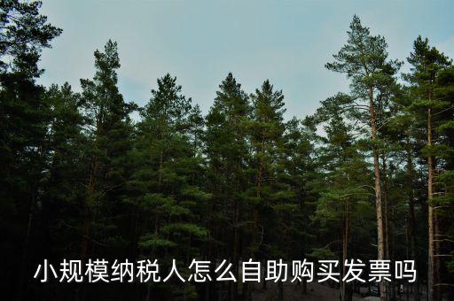 小規(guī)模如何領購發(fā)票，小規(guī)模納稅人領取發(fā)票程序