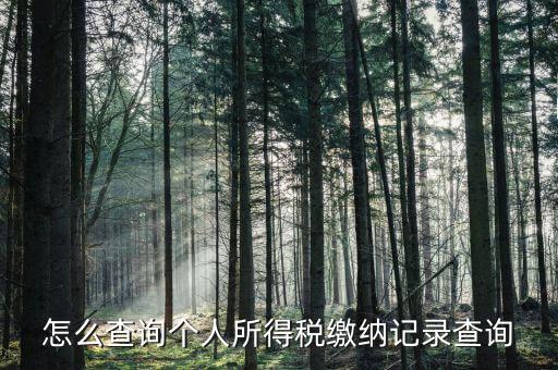 沈陽如何查個人所得稅繳費明細，如何查詢個人所得稅申報明細情況