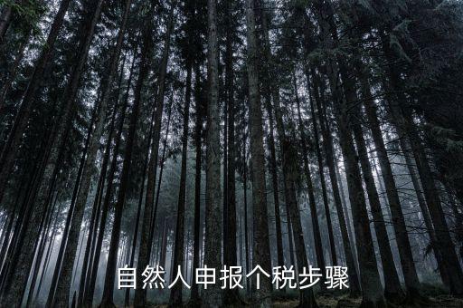自然人稅收如何申報表，自然人申報個稅步驟