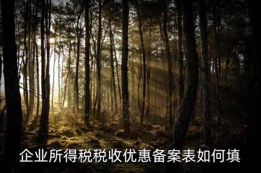 如何填寫企業(yè)所得稅優(yōu)惠事項備案表，企業(yè)所得稅減免稅備案表填寫