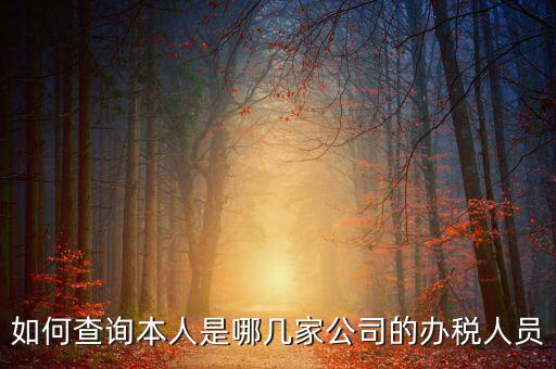 如何查詢企業(yè)辦稅人信息，怎么查詢單位登記稅務經辦人