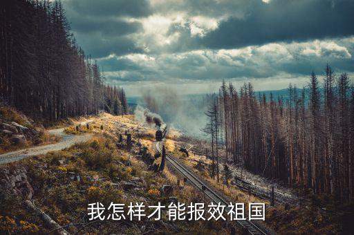 開(kāi)的稅如何報(bào)效，報(bào)效祖國(guó)最好的辦法是什么