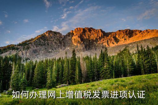 如何辦理網(wǎng)上增值稅發(fā)票進(jìn)項認(rèn)證