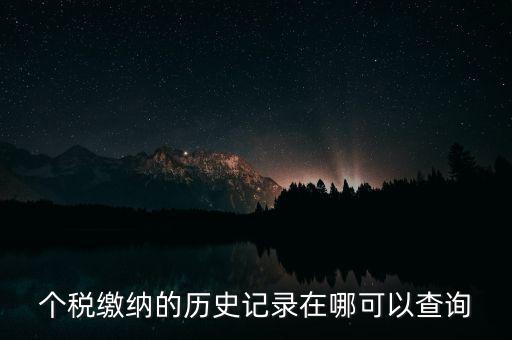 如何查詢個(gè)人所得稅繳費(fèi)記錄，怎么查詢最新個(gè)人所得稅繳納記錄