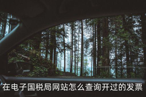 如何查詢電子發(fā)票信息，在電子國稅局網站怎么查詢開過的發(fā)票