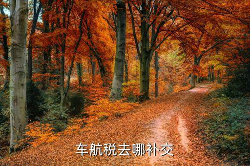 如何補(bǔ)繳車船稅，車航稅去哪補(bǔ)交
