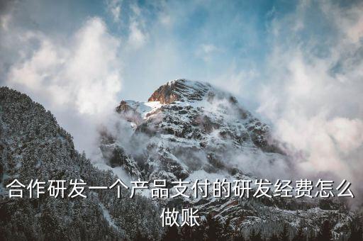 合作研發(fā)一個產(chǎn)品支付的研發(fā)經(jīng)費(fèi)怎么做賬