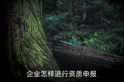 如何介質(zhì)申報(bào)，油罐車(chē)介質(zhì)怎么規(guī)定