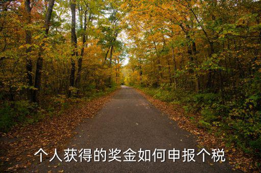 如何將獎(jiǎng)金的稅款繳納至稅務(wù)局，個(gè)人獲得的獎(jiǎng)金如何申報(bào)個(gè)稅
