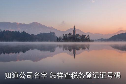 公司國稅編號如何查詢系統(tǒng)，公司的稅務(wù)登記證號怎么查詢