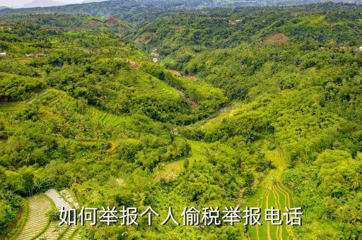 如何去稽查局 舉報電話，如何舉報個人偷稅舉報電話