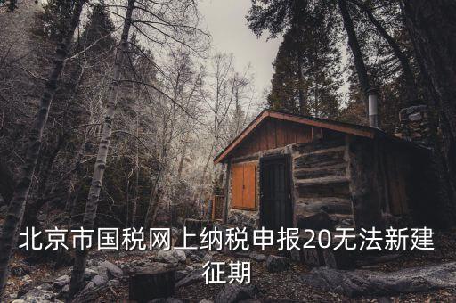 國稅系統(tǒng)如何建立征期，北京國稅網(wǎng)上申報系統(tǒng)是不是只能在每個月初才可以新建征期呢我