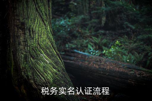 四川省稅務(wù)局如何實(shí)名采集信息，四川網(wǎng)上稅務(wù)局12366掌廳怎么實(shí)名采集掃哪個(gè)二維碼