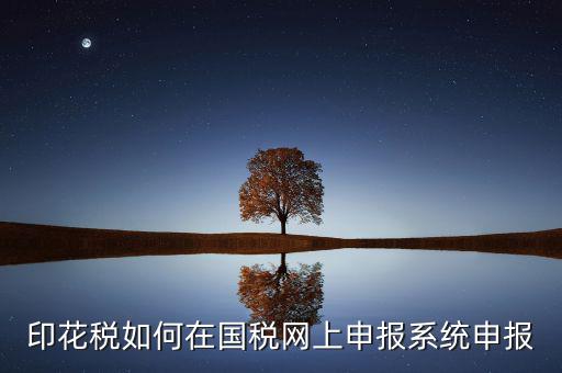 如何在網(wǎng)上申報(bào)安徽印花稅，如何在網(wǎng)上進(jìn)行印花稅的申報(bào)和繳納