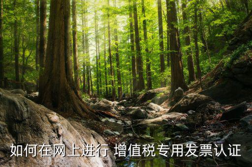 增值稅專用票如何在網(wǎng)上申請(qǐng)，購(gòu)買增值稅專用發(fā)票要先在網(wǎng)上怎么操作