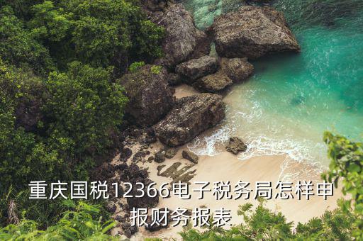 重慶國稅12366電子稅務(wù)局怎樣申報財務(wù)報表