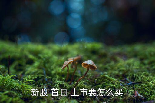 新股 首日 上市要怎么買(mǎi)