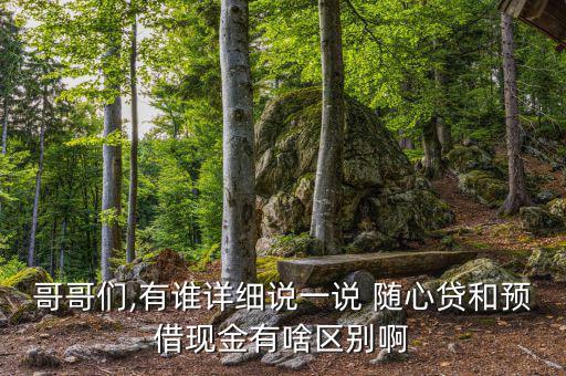 哥哥們,有誰詳細說一說 隨心貸和預借現金有啥區(qū)別啊
