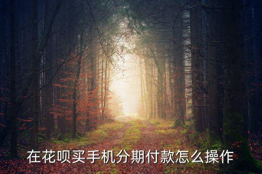 在花唄買(mǎi)手機(jī)分期付款怎么操作