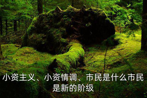 小資主義、小資情調(diào)、市民是什么市民是新的階級