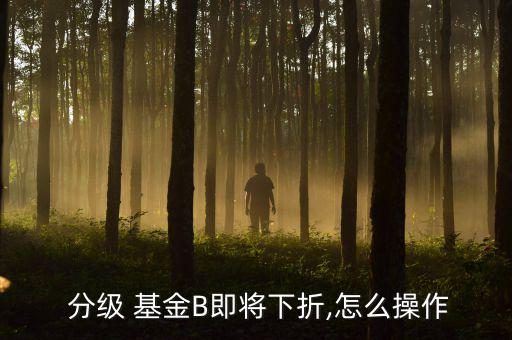 分級基金b怎么賣出,郭芙中證軍工指數分級b基金的走勢