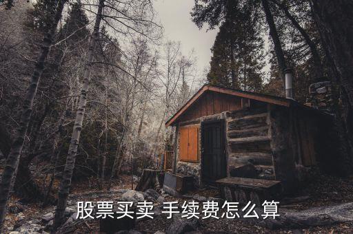  股票買(mǎi)賣(mài) 手續(xù)費(fèi)怎么算