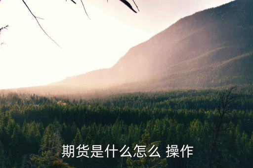 期貨展期怎么操作,選時(shí)展期對套期保值效率影響小