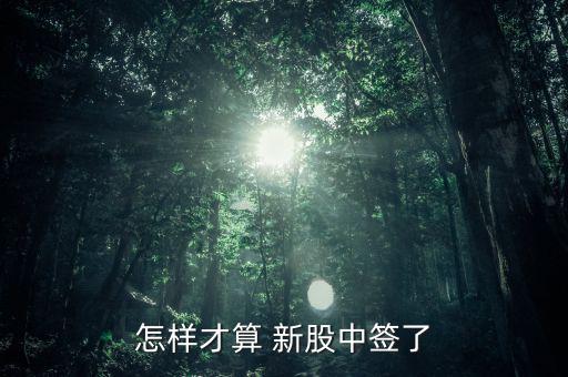 怎么算中簽新股,新股認(rèn)購有三個(gè)渠道查詢中獎(jiǎng)號碼