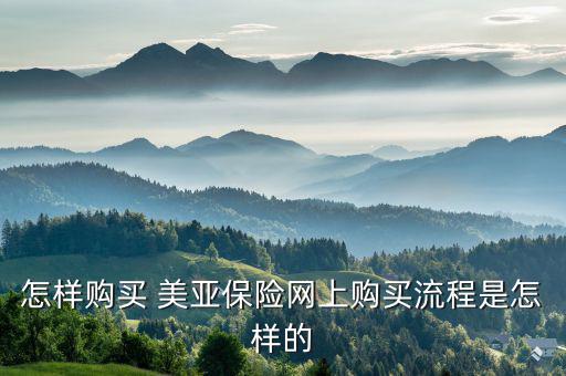 美亞保險(xiǎn)怎么報(bào)險(xiǎn),春運(yùn)如何購買保險(xiǎn)?可在線投保、索賠