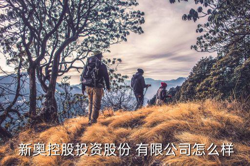 新奧財務(wù)有限公司怎么樣,新奧燃?xì)馐切聤W集團產(chǎn)品在香港上市