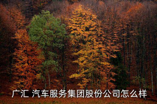 廣匯汽車怎么樣,廣匯汽車商譽(yù)來自于溢價(jià)收購4s門店